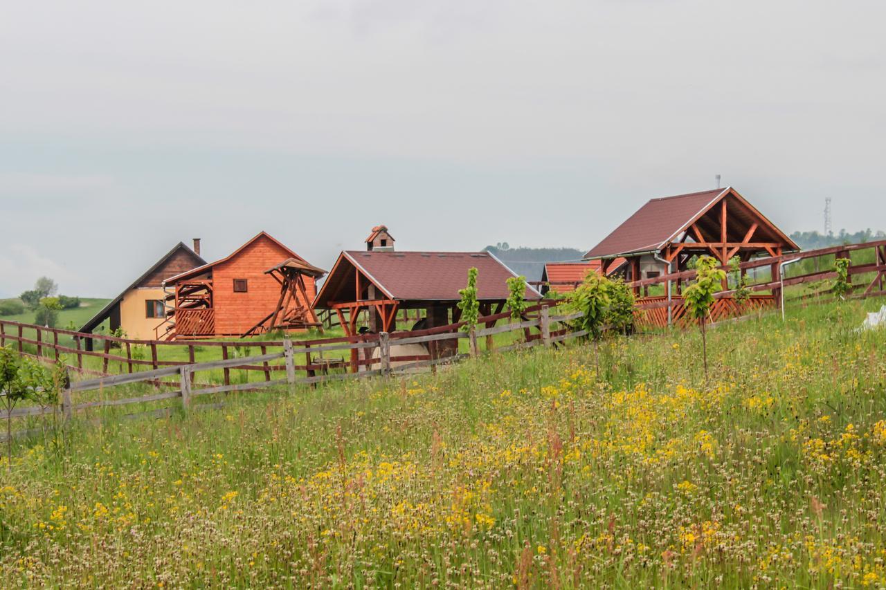 Mano Kulcsoshazak Villa Praid Buitenkant foto