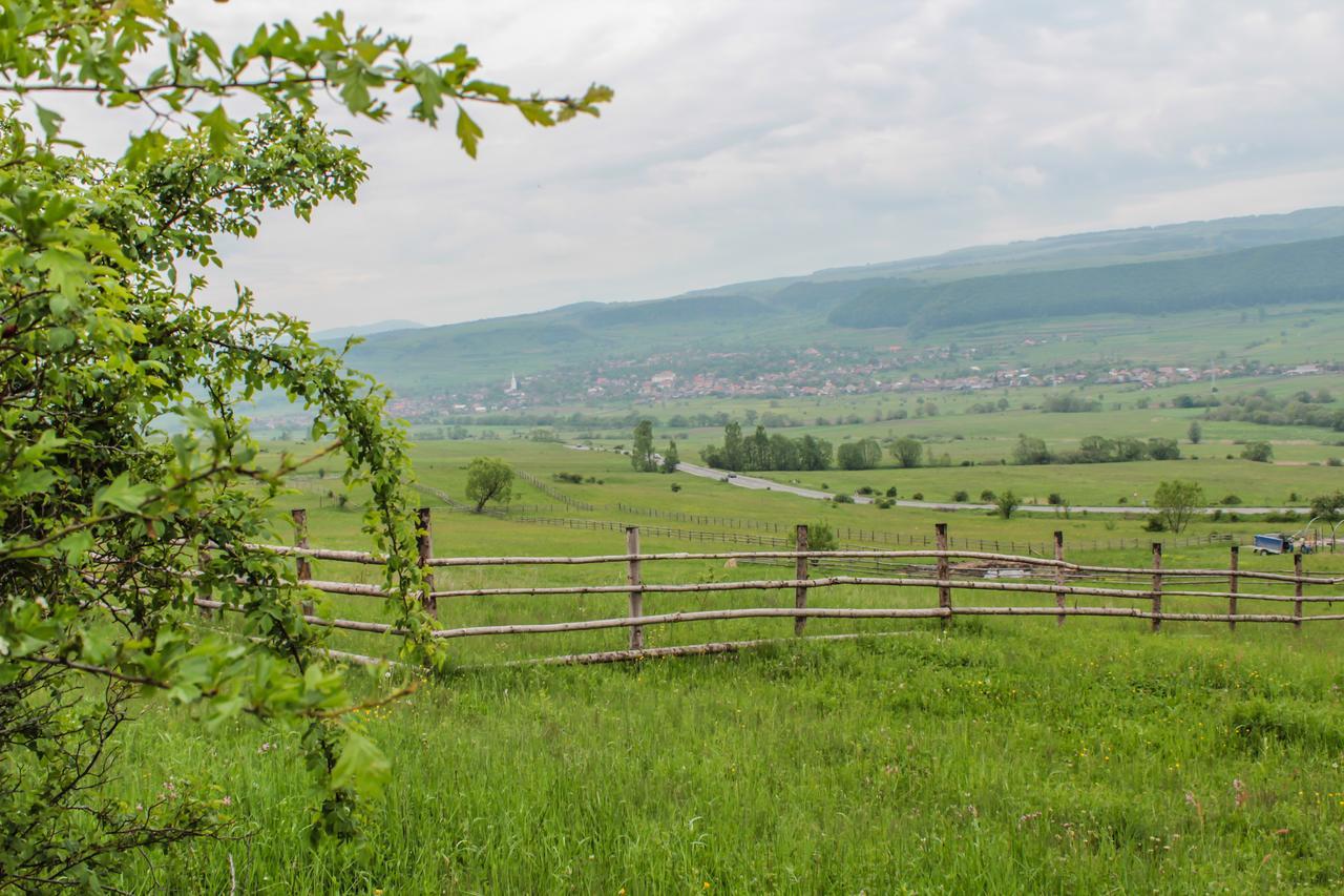 Mano Kulcsoshazak Villa Praid Buitenkant foto