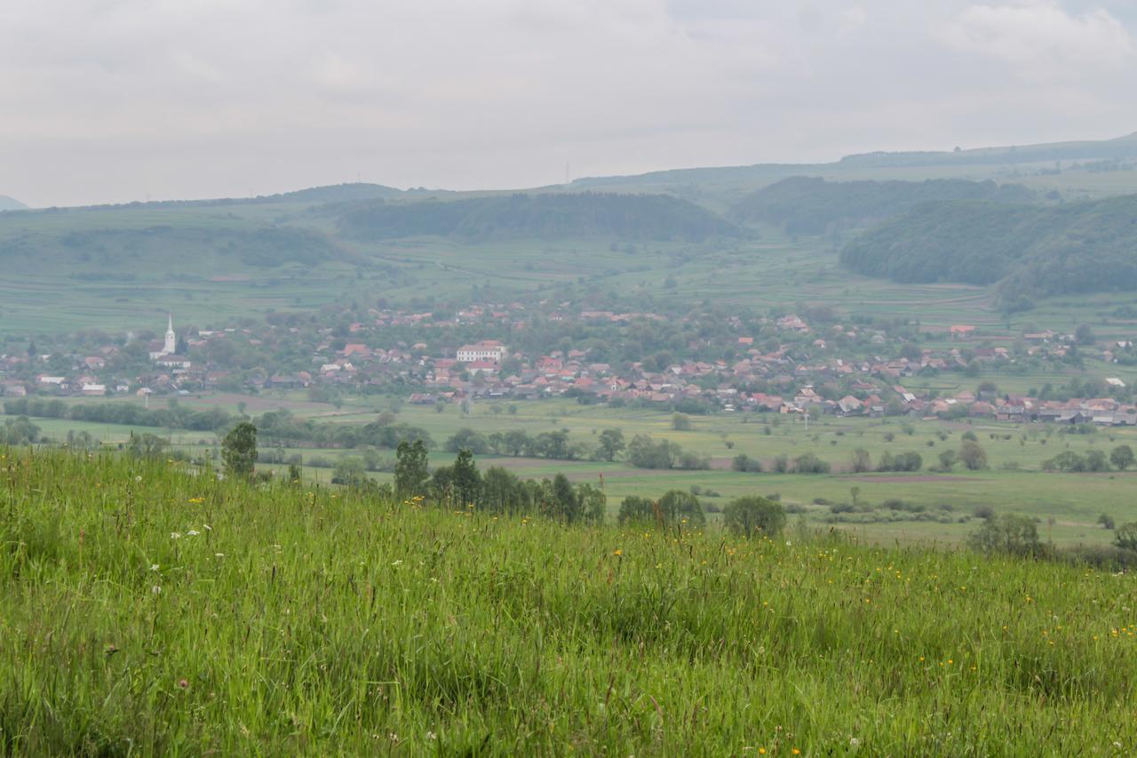 Mano Kulcsoshazak Villa Praid Buitenkant foto