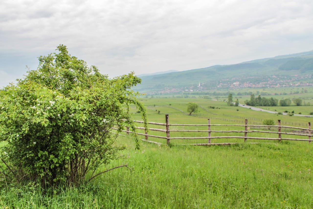 Mano Kulcsoshazak Villa Praid Buitenkant foto